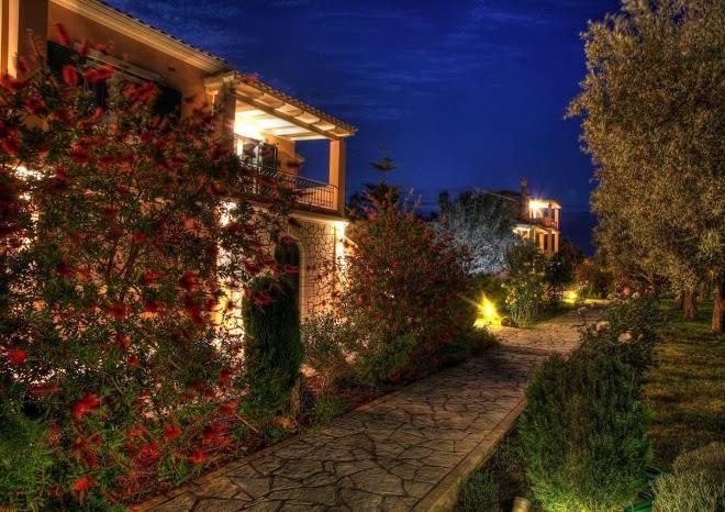 Anthias garden