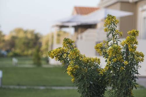 Casa di varco