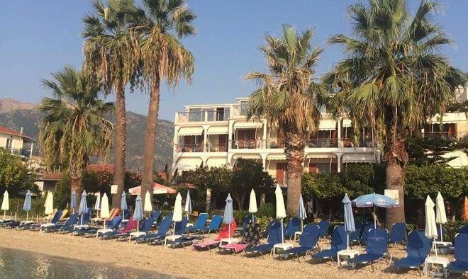 Palm trees hotel