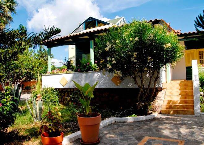 Lemon garden vassilikos