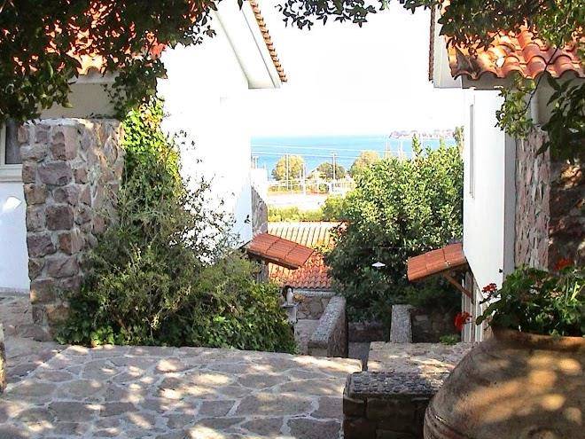 Delfinia hotel & bungalows
