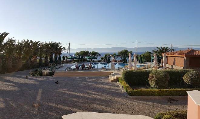 Eftalou Olive Grove Image