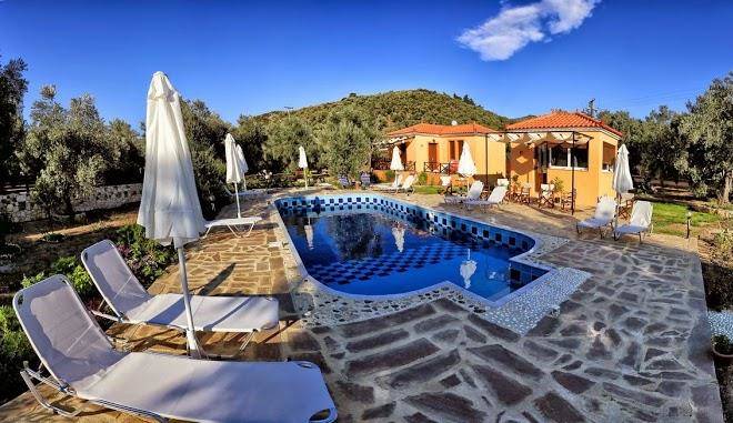 Eva land tarti lesvos