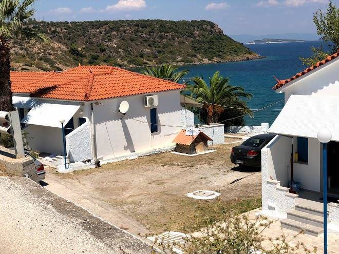 George Paradise Image