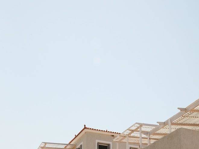 Little bird lesvos