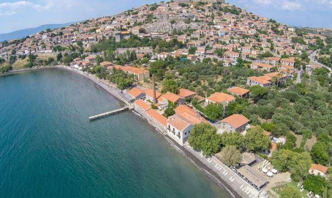 Olive Press Hotel Image