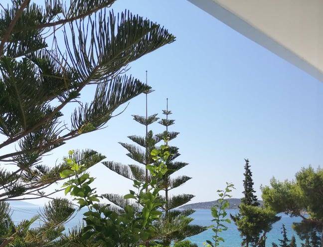 Tolon beach hotel