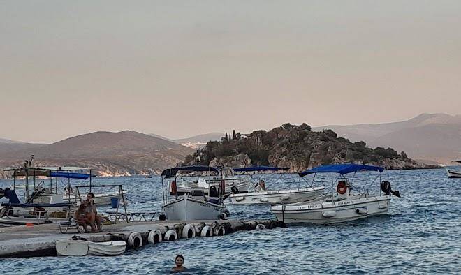 Vetsa's Experience Image