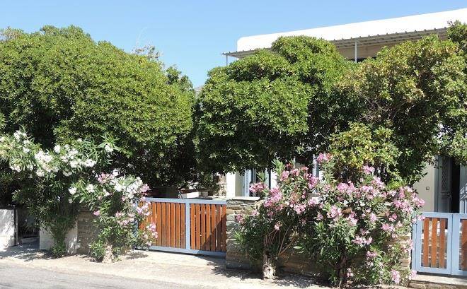 Andros levante studios