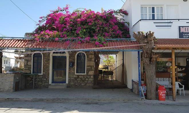 Amalia taverna