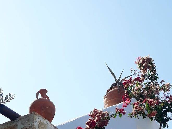 Archontiko Stegna Image