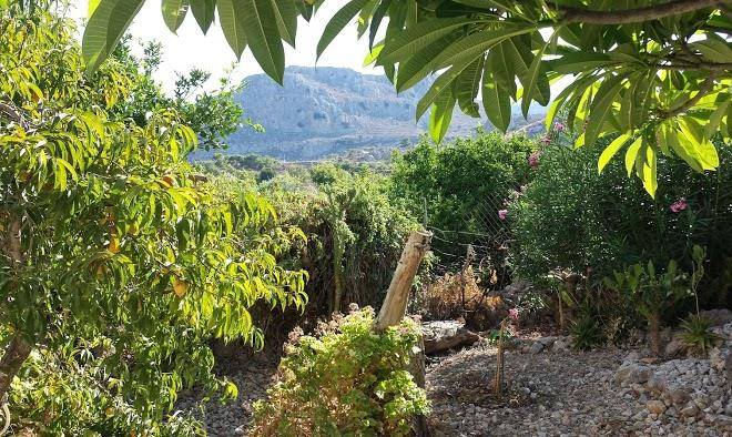 Athina Studios Image