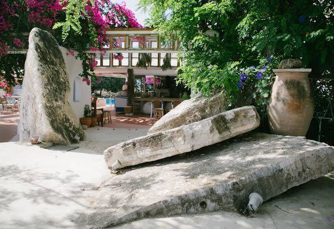 Gorgona faliraki