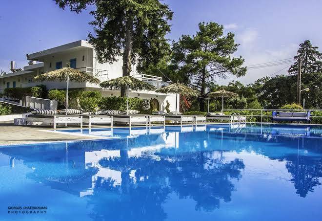 Pine Trees Art Hotel Image