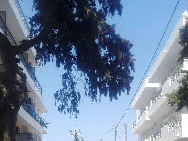 Veroniki hotel