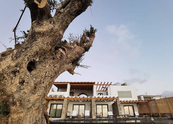 M vibes mykonos