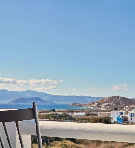 18 grapes hotel naxos