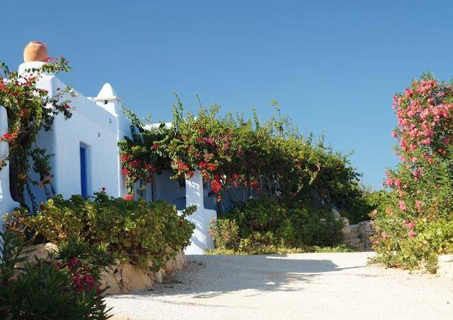 Gitonia Tis Irinis Image