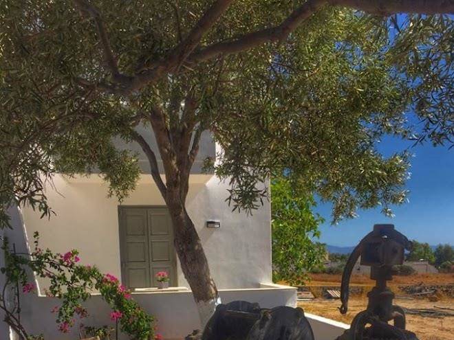 Naxos harmony