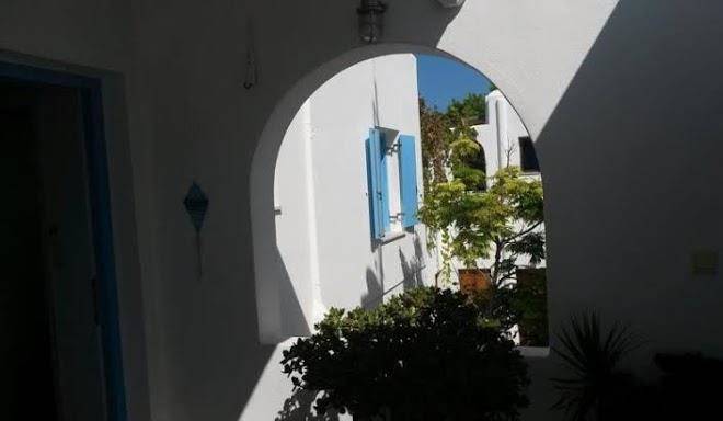 Antonia studios