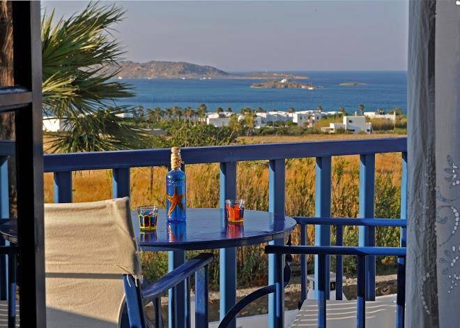 Arokaria dreams