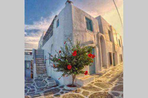 Hotel panta rei