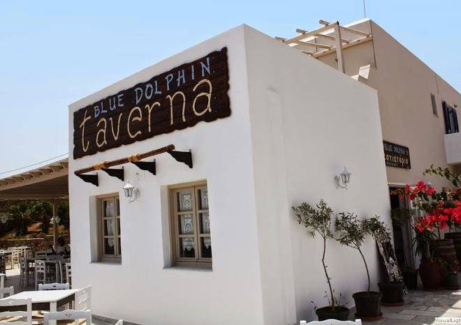 Paros blue dolphin hotel studio restaurant