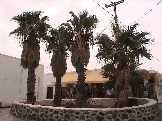 Asimina hotel