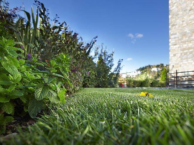 Stevalia hotel & spa portaria
