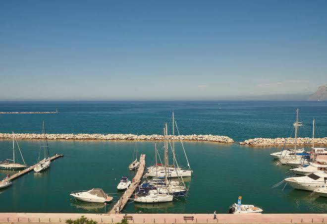 Moxy patra marina