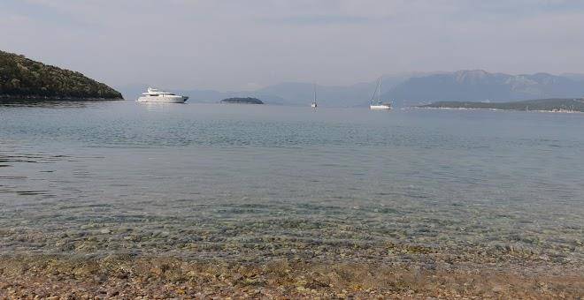 Porto palmos