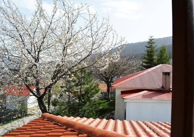 Diaselo 1500m 1500 Image