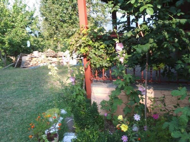 Kalithea Sun &sky Image