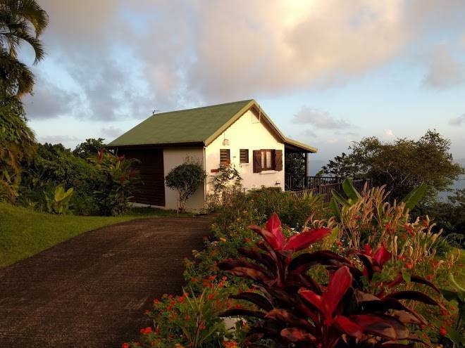 L'ilot fruits guadeloupe