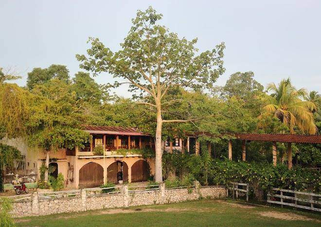 Palomino ranch hotel