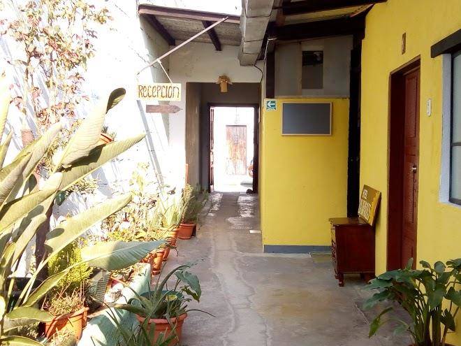 Hotel los girasoles