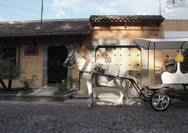 Nina boutique hotel