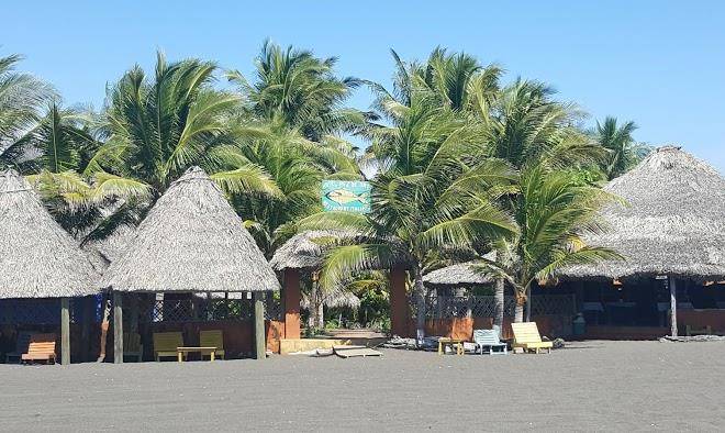 Hotel pez de oro