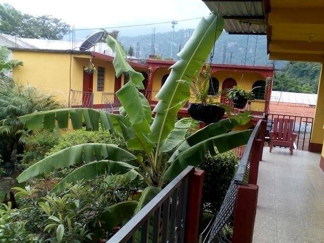 Hospedaje santo domingo