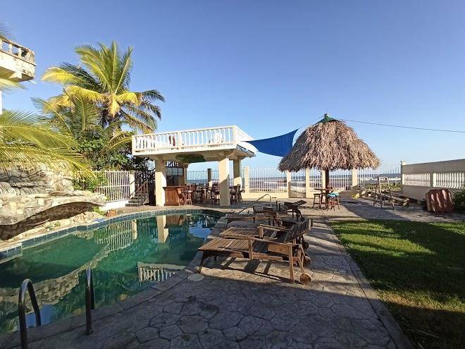 Diving pelican inn