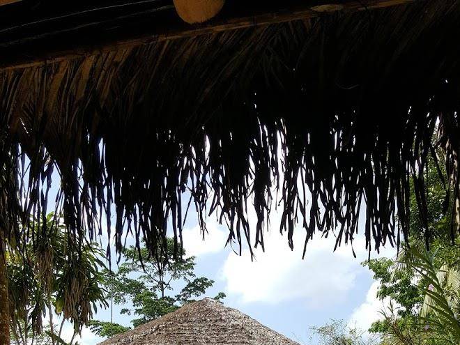 Rio santiago nature resort