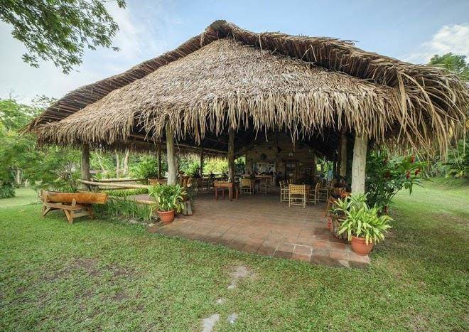 Los olingos lodge