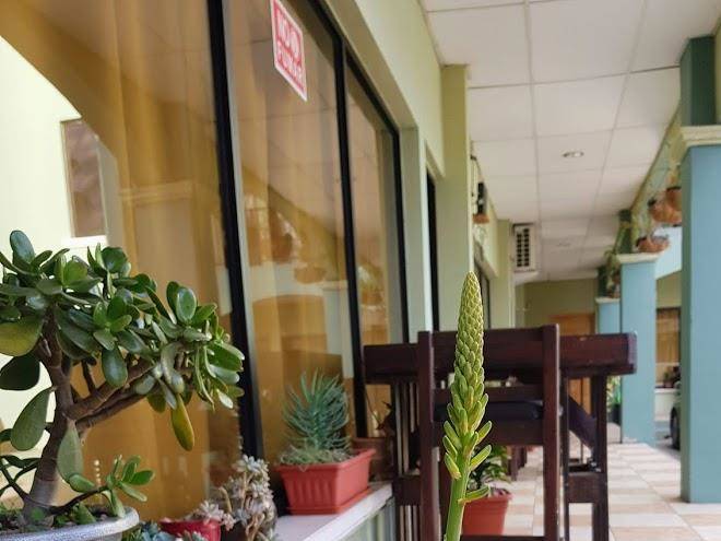 Ecogreen hotel
