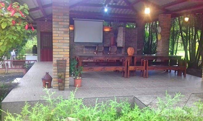 La cumbre del pinar
