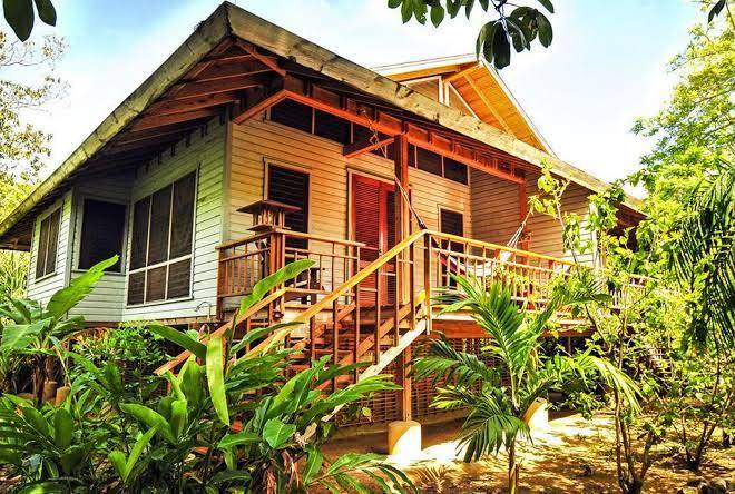 Palmetto bay & beach plantation