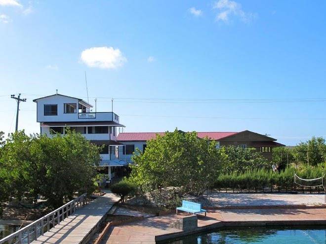 Coral view utila