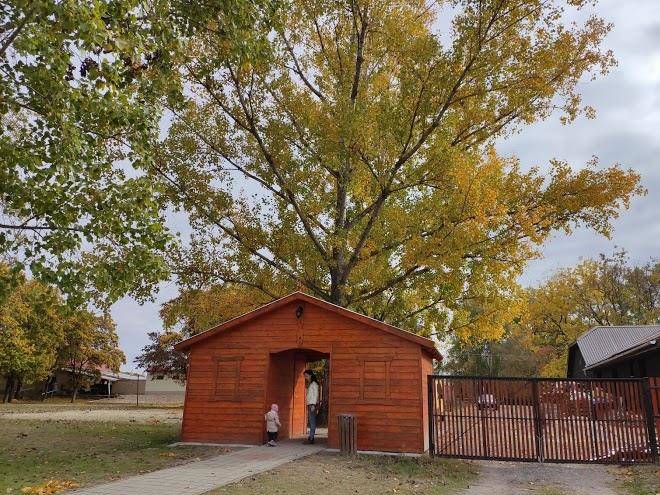 Lake Szelid Beach Image