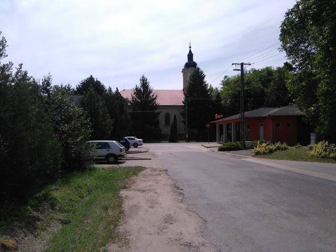 Zold pazsit vendeghaz