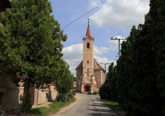 Cseppko panzio