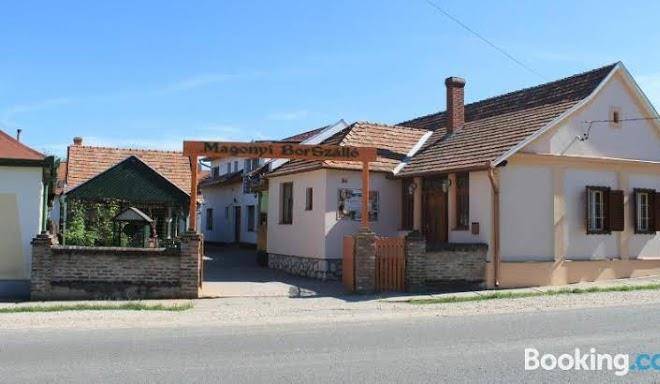 Magonyi panzio